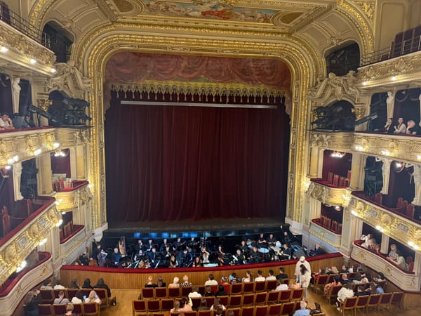 🎭 Culturing along